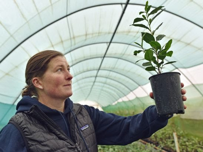 Lucy George at Peterston Tea Estate in Wales